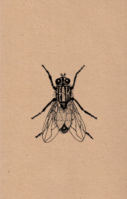 R. Schwarz - SPSP No. 1